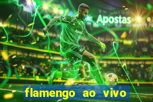 flamengo ao vivo hd play